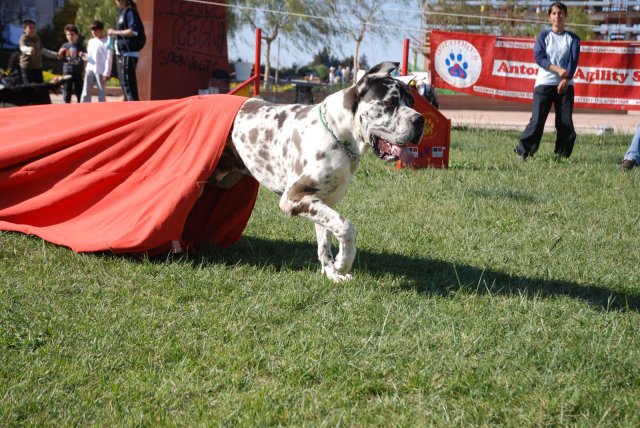 100 strade per giocare 2008